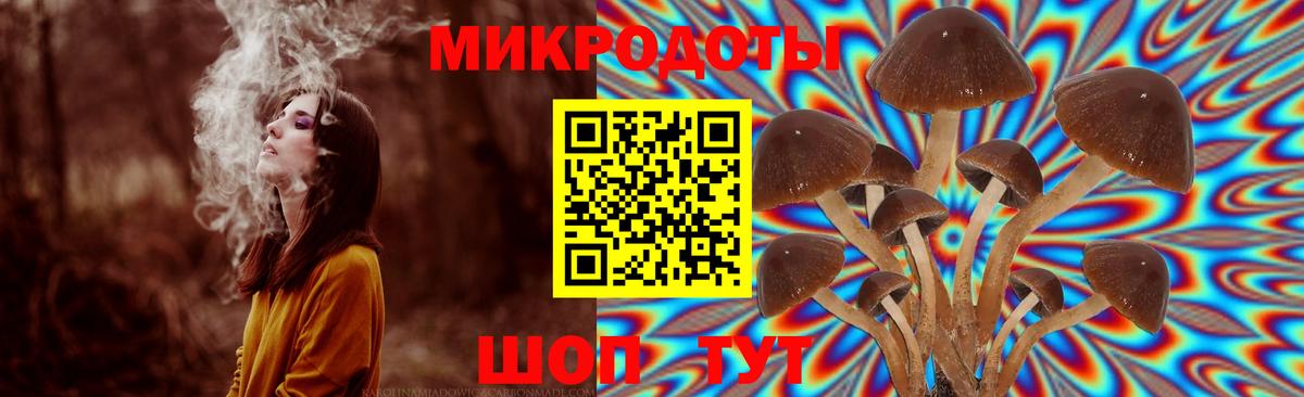 Галлюциногенные грибы мицелий Кызыл